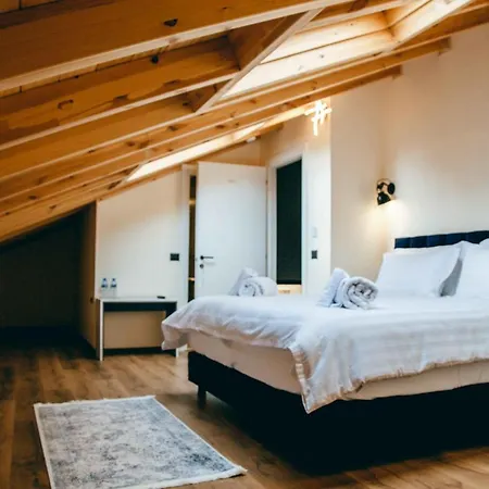 Triart Hotel Korce